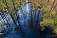 032_Biebrza - kwiecien 2012